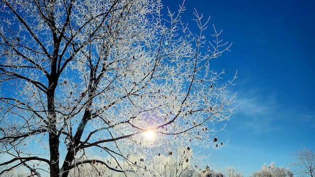 Yellow frost advisory issued for eastern Ontario, western Quebec