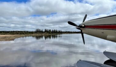 Man, 25, dies after bear encounter in northern Saskatchewan
