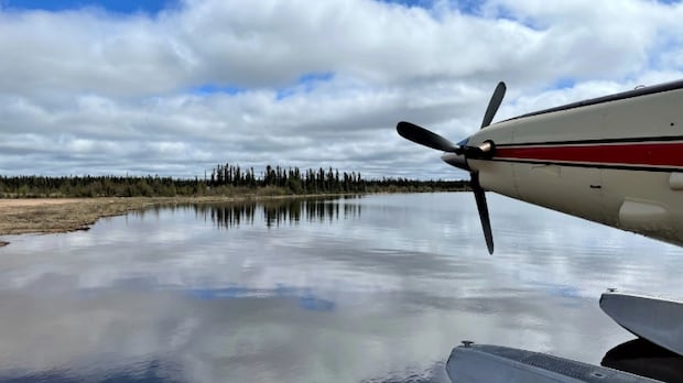 Man, 25, dies after bear encounter in northern Saskatchewan