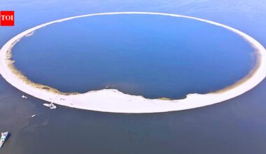 Protecting Life: Poland spent millions on an artificial island to protect rare birds and conserve wildlife | World News