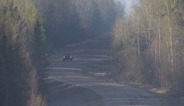 'Raining down ash': Fast-moving wildfire continues to rage near Whitecourt