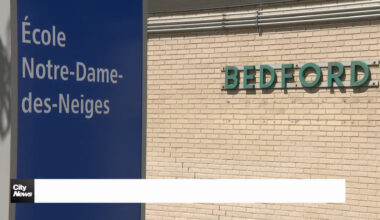11 teachers have licences revoked at Montreal's Bedford school