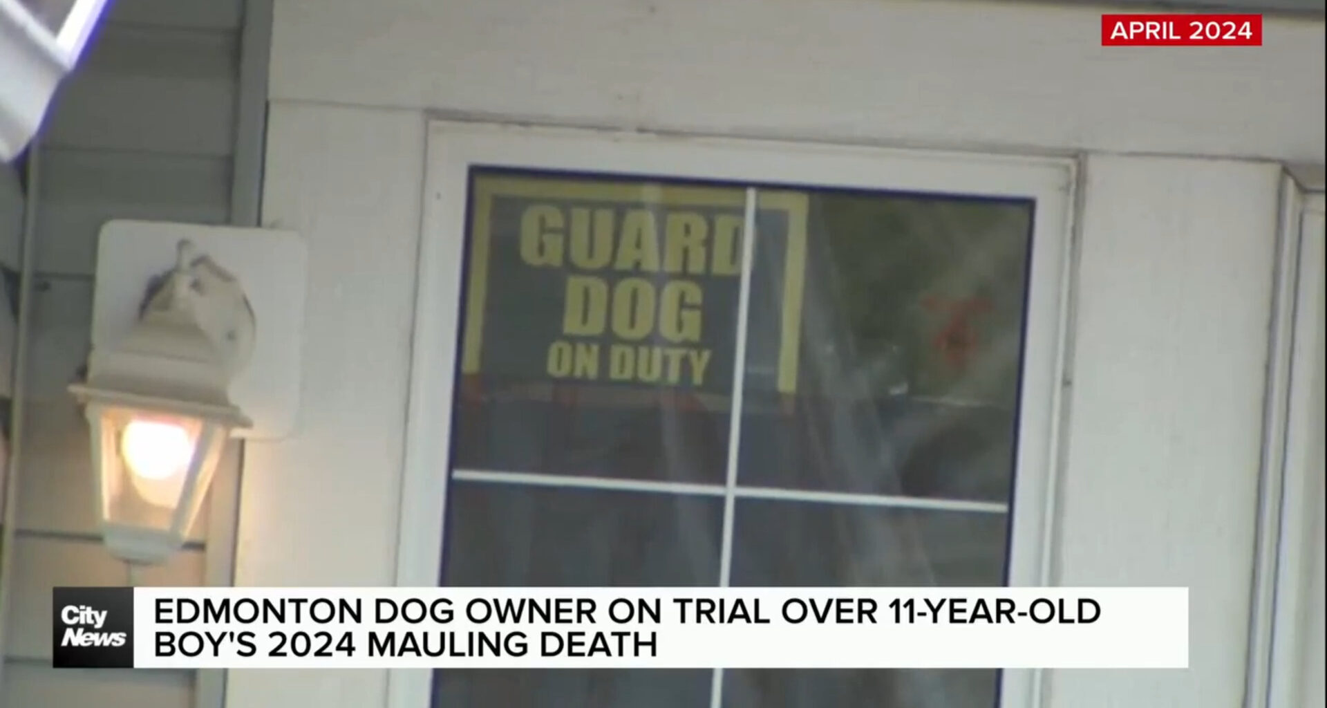 Edmonton dog owner on trial over 11-year-old boy’s 2024 mauling death