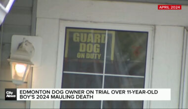 Edmonton dog owner on trial over 11-year-old boy’s 2024 mauling death