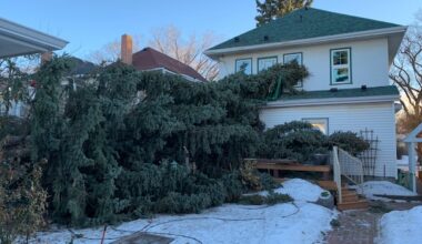 Powerful storm to bring 100 km/h winds to east-central, southeast Alberta: Environment Canada