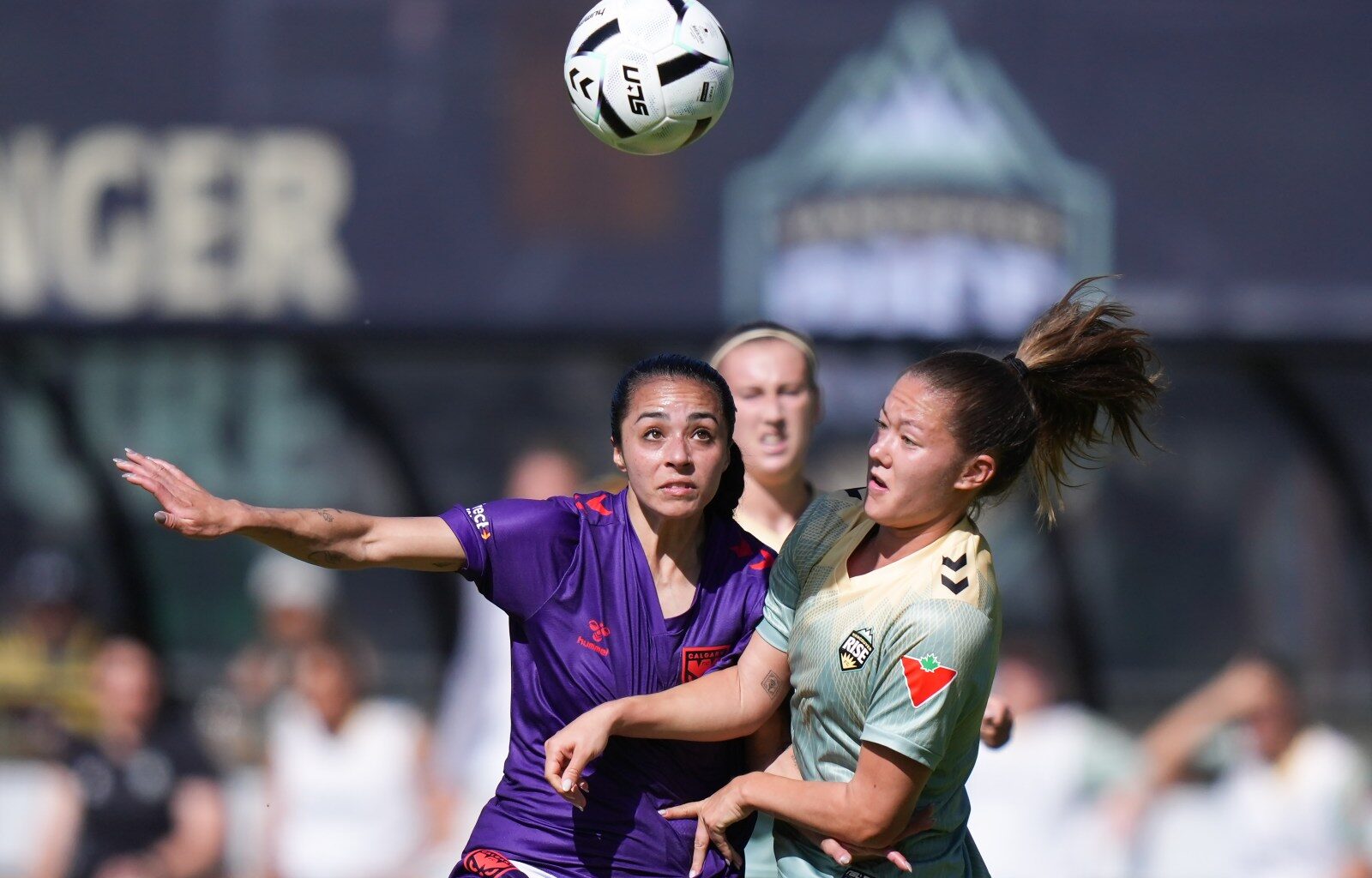Calgary Wild FC ownership changes, Alyssa Mitchell buys majority stake – Winnipeg Free Press
