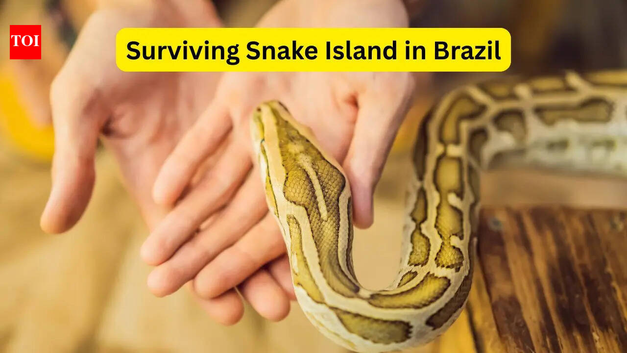 Surviving Snake Island in Brazil; 5 disturbing facts about the world’s most dangerous island every traveller should know