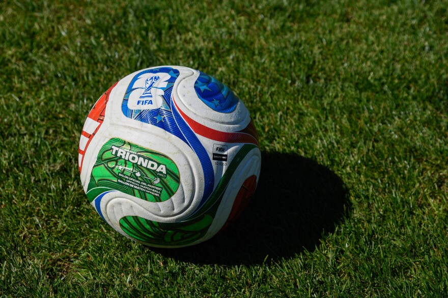 Adidas created Trionda for this year's FIFA World Cup. The company has made the soccer ball for each tournament since 1970.