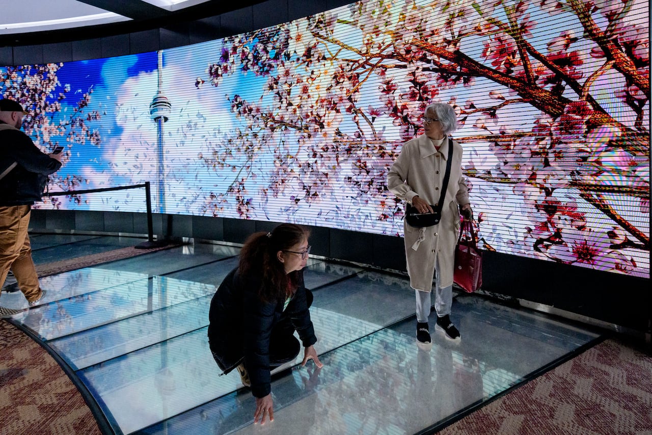 Several people on the glass floor of the CN Tower, with screen that shows the tower and blossoming cherry trees.