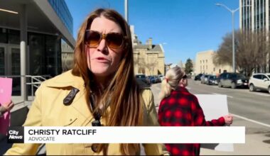 Animal rights advocates calling for justice as Winnipeg man accused of killing 3 cats in 2024 pleads guilty