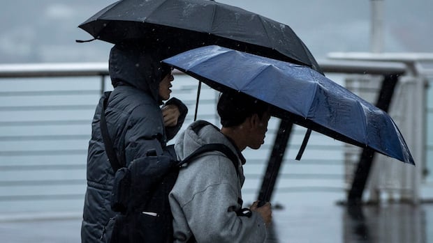 Severe spring storm brings damaging winds, heavy rain to Alberta