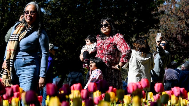 What's open and closed in Ottawa on Victoria Day