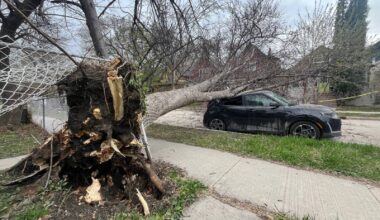 Widespread power outages, damage after Manitoba wind storm – Winnipeg Free Press