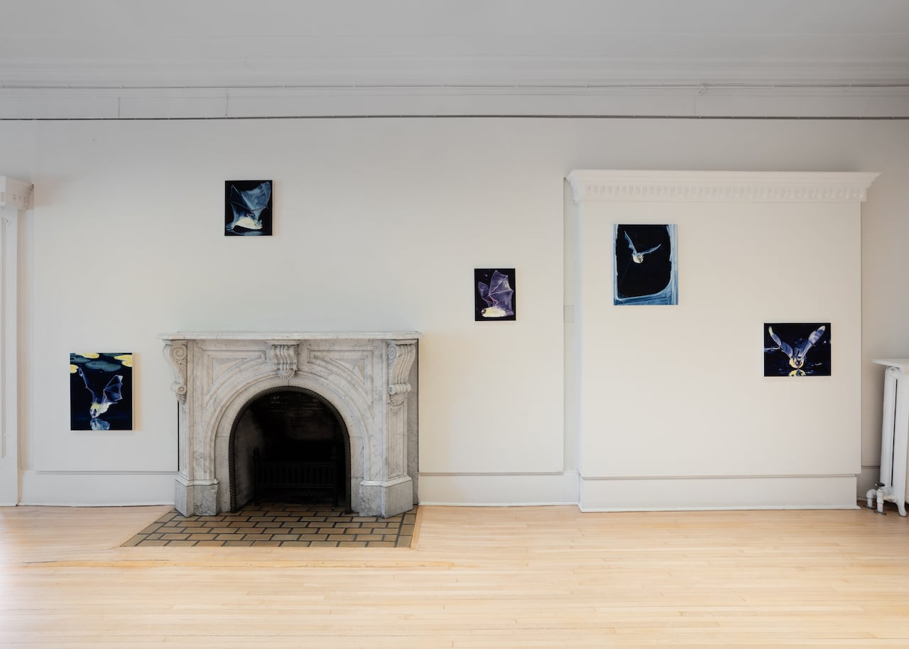 On a white wall with a stone fireplace, five dark paintings are hung. Each depicts a bat in flight.