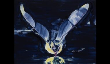 The painter who pulls light from the darkness