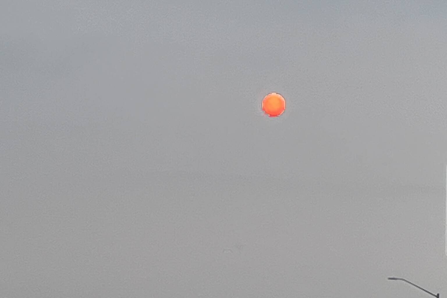 With every tree burned, climate battle gets harder – Winnipeg Free Press