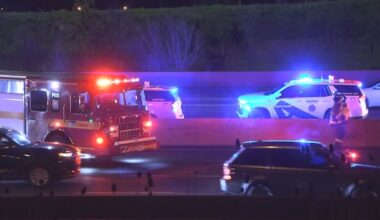 40-year-old woman dead after multi-vehicle crash on Hwy. 401