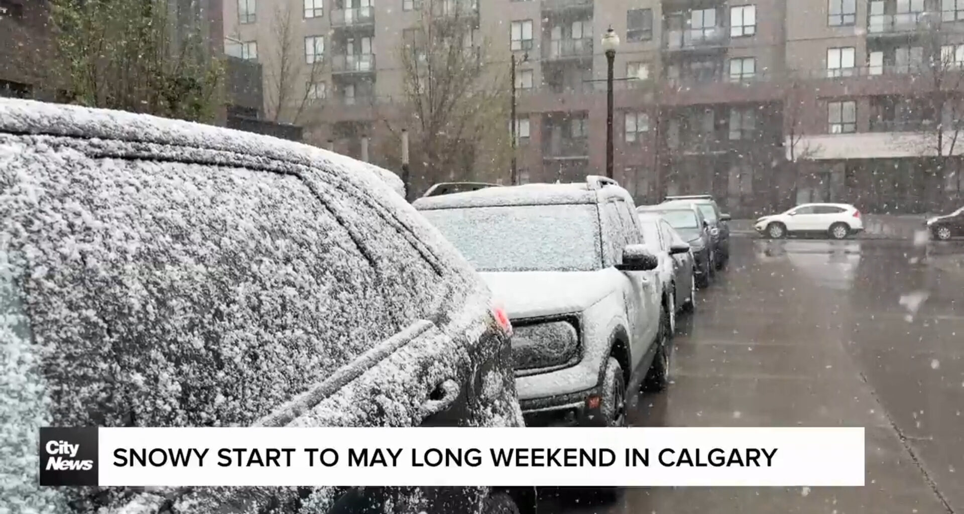 Snowy start to May long weekend in Calgary