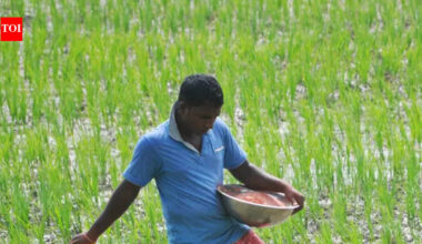 Gulf War no blip. It’s time to take some hard decisions on fertiliser ‘revdis’
