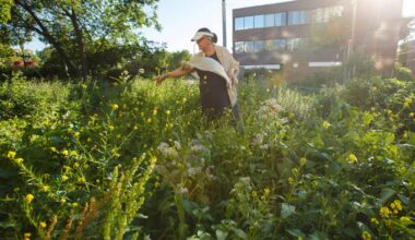Connected to the land, rooted in tradition – Winnipeg Free Press
