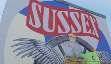 Artists painting next chapter for Sussex's famous murals