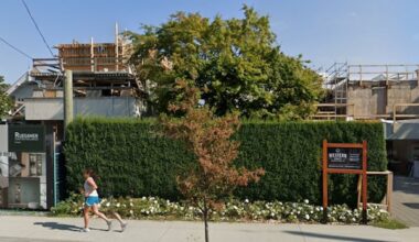 Vancouver mansion owners sue neighbours over hedge removal