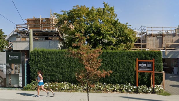Vancouver mansion owners sue neighbours over hedge removal