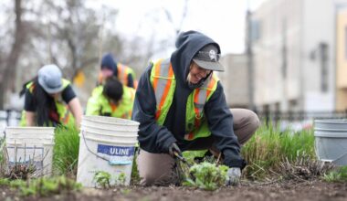 Coming up roses: City gardeners put ‘petal’ to the metal every spring to help Winnipeg blossom – Winnipeg Free Press