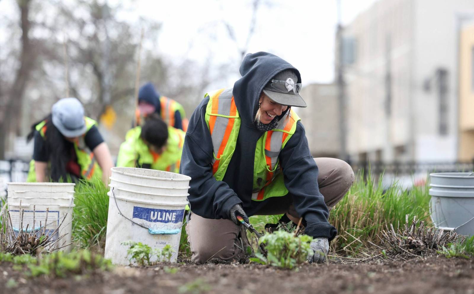 Coming up roses: City gardeners put ‘petal’ to the metal every spring to help Winnipeg blossom – Winnipeg Free Press