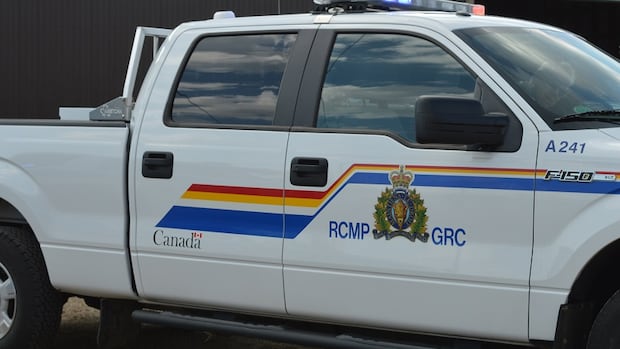 Pilot dead after glider crash northeast of Edmonton: RCMP