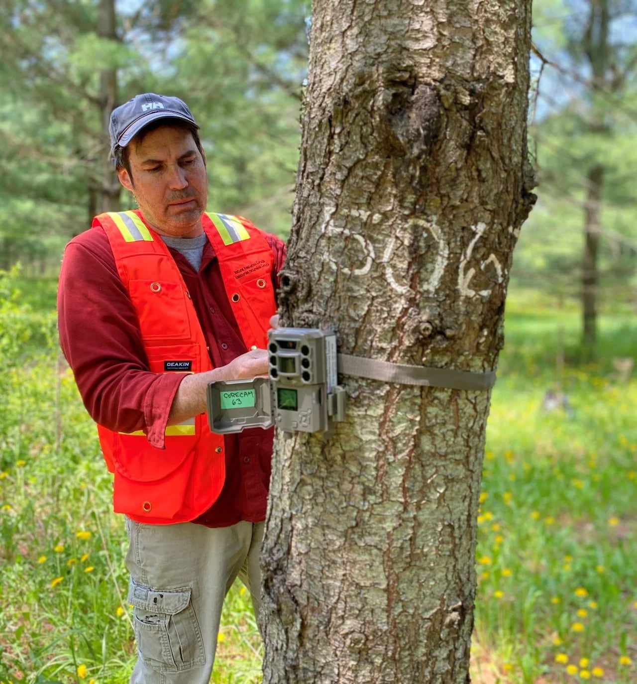 A photo of a man beside a tree.