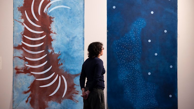 QAGOMA: Brisbane’s Rising Voices art collection makes history at London’s Victoria & Albert Museum