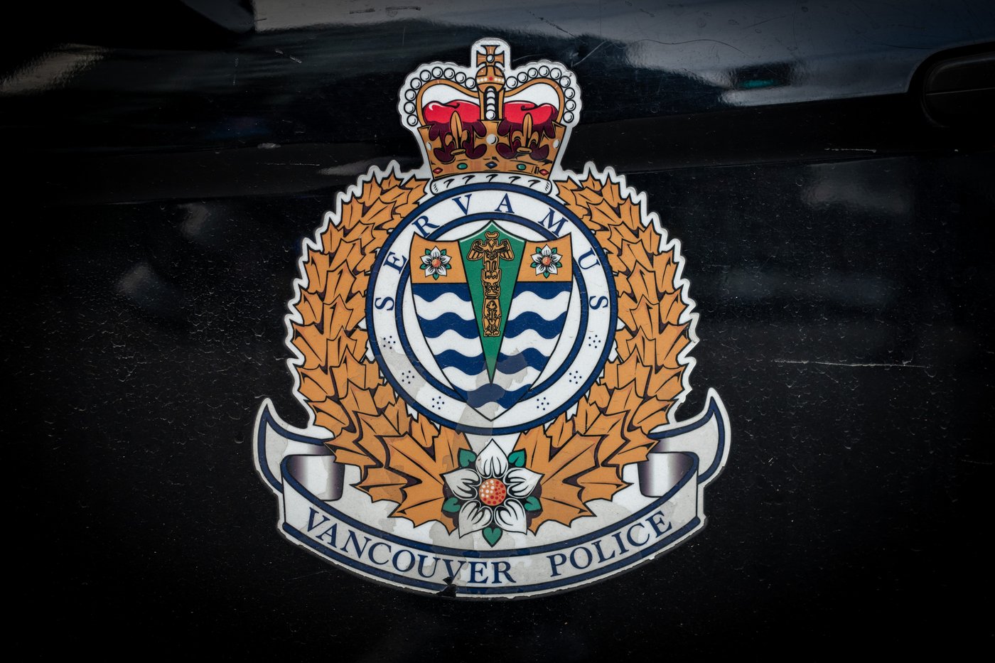 Man charged with assault after vehicle rampage in Vancouver’s West End | NanaimoNewsNOW