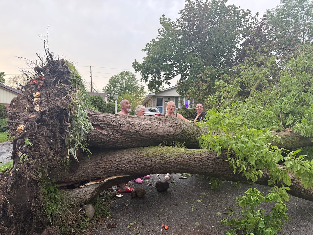 A giant fallen tree laying across a driveway with 4 people standing behind it.