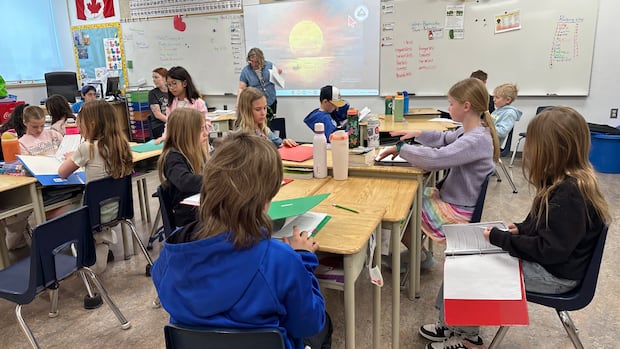 Provincewide substitute shortage sees 200 teachers a day missing from Calgary public schools