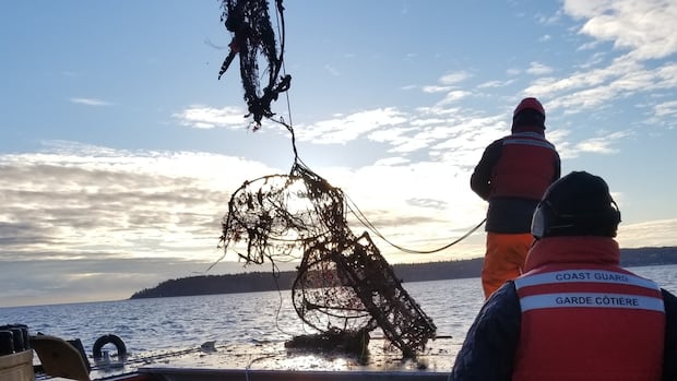 Ottawa seeking proposals from groups committed to cleaning up 'ghost gear' in water