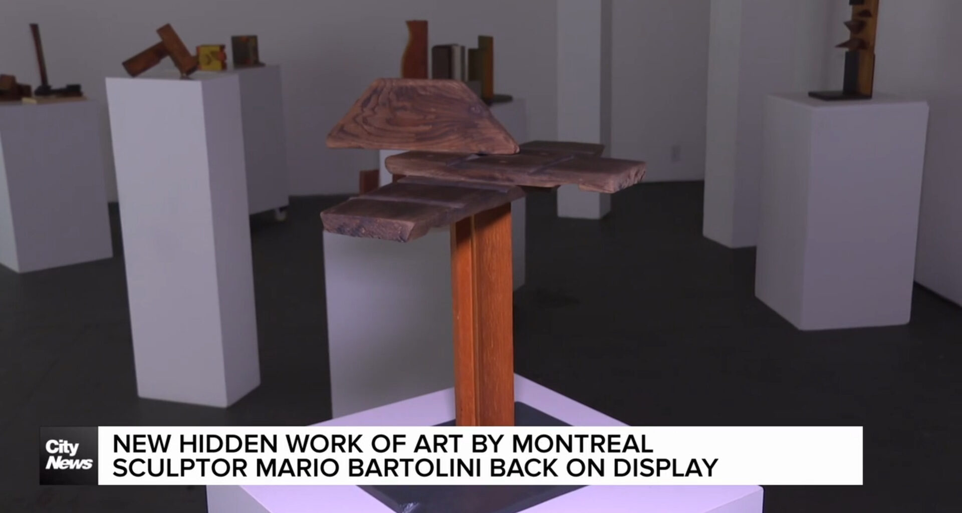 Mario Bartolini Exhibit returns to Montreal with new family activity