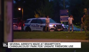 13 charged after fireworks shot into crowds in Brampton's Chinguacousy Park on Victoria Day