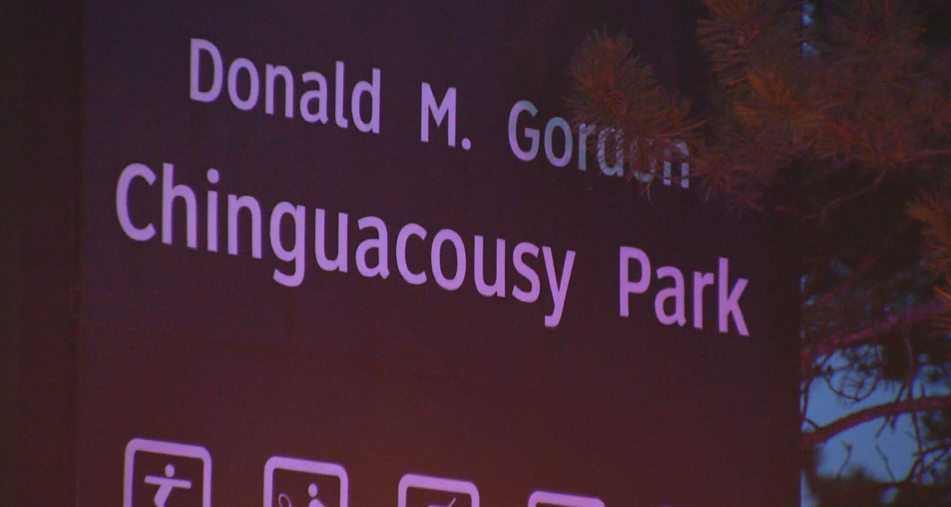 13 people charged after fireworks shot at people in Chinguacousy Park