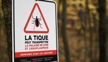 Cases of Lyme disease in Montreal highest in more than 20 years | NanaimoNewsNOW