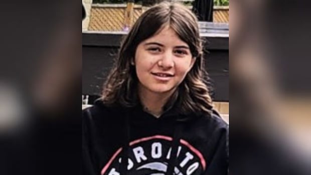 Police set up dedicated phone line in search for Toronto teen missing 5 days