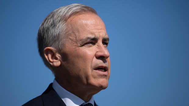 14 Liberal MPs pen letter to Carney raising concerns over environmental backslide