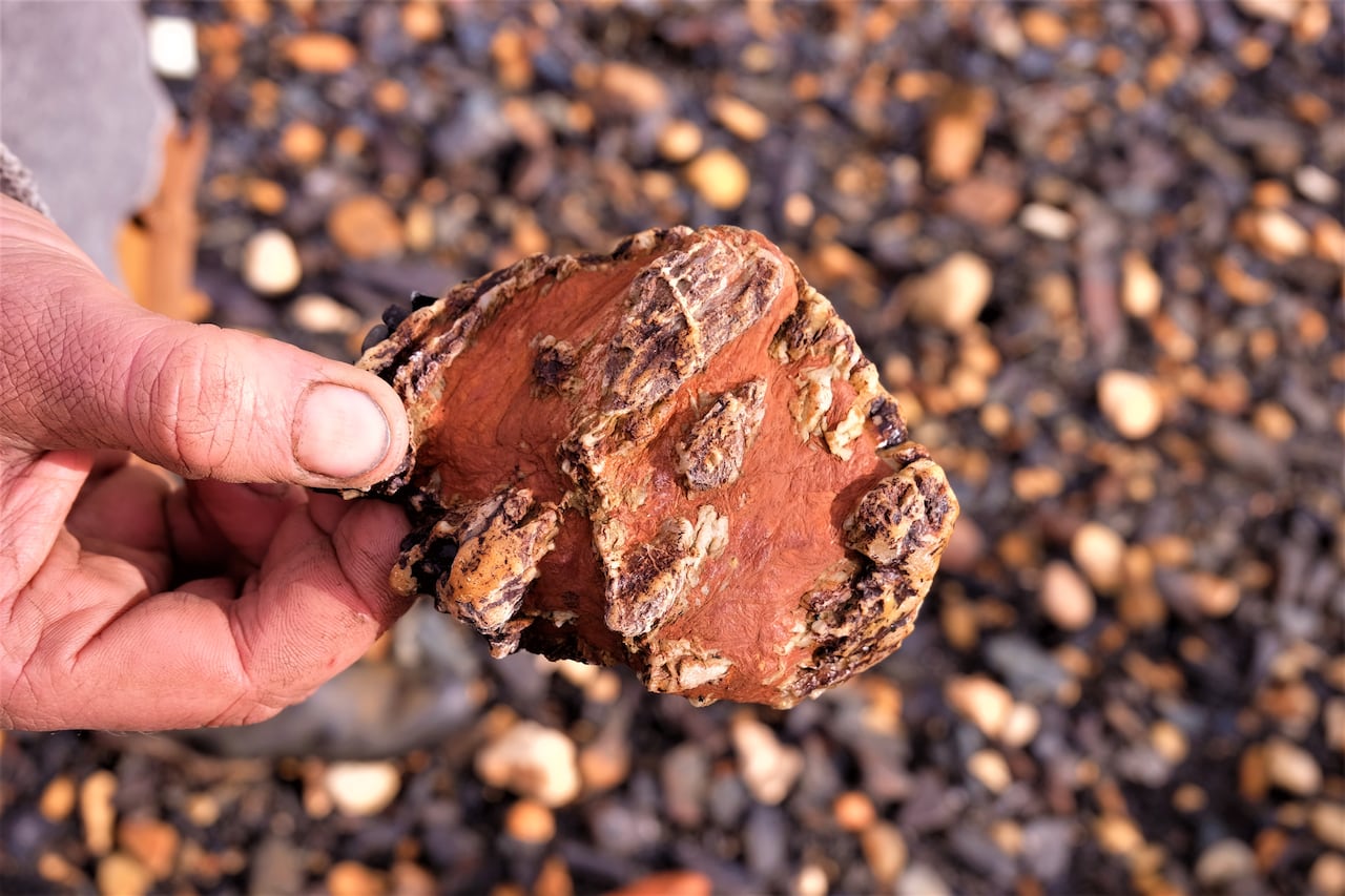 A hand holds an orange-coloured rock.