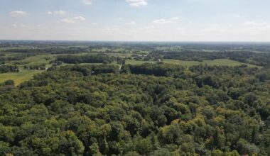 The Greenbelt is a 'safe haven' for 70% more species at risk than 2 decades ago, a new report says