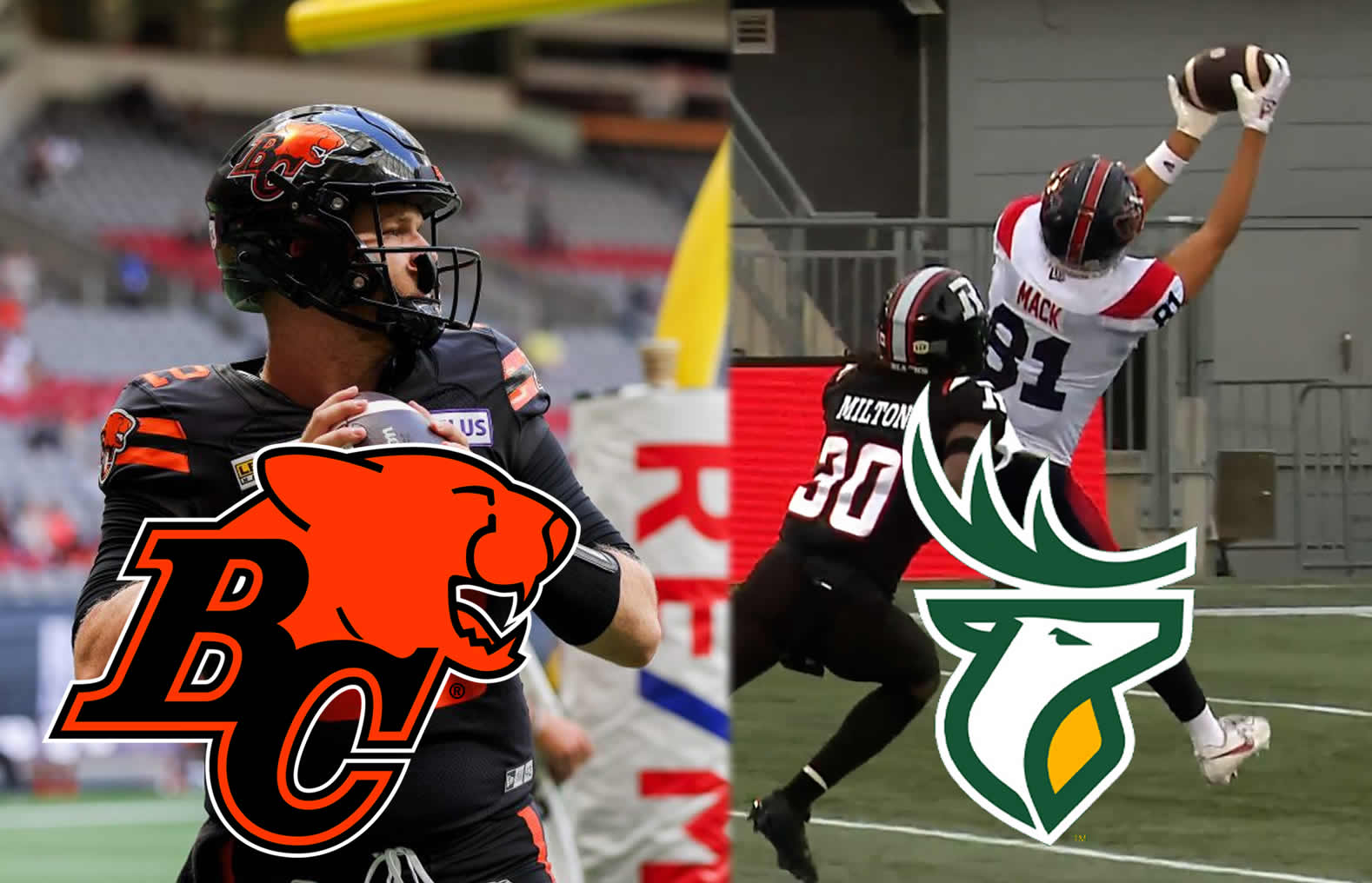 CFL News Hub