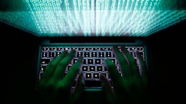 Edmonton police working with ethical hackers, U.S. law enforcement to tackle fraud