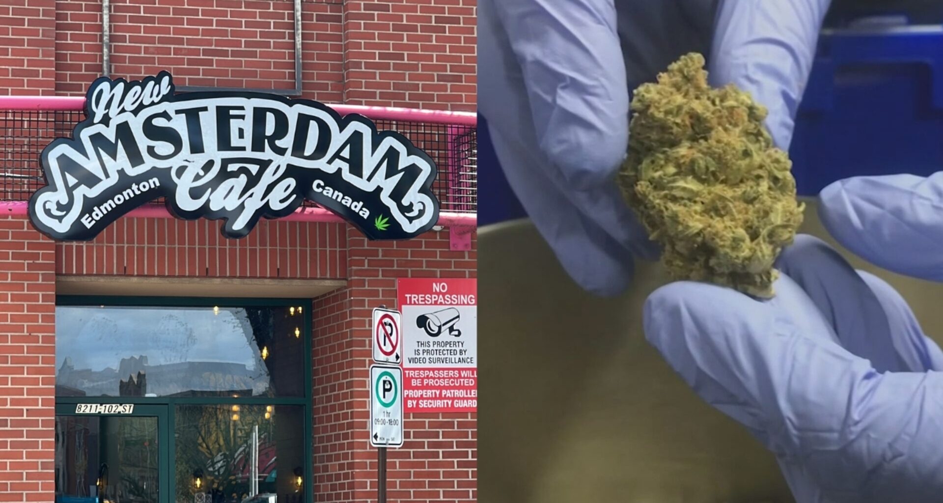Edmonton business wants the province and city to move forward with cannabis cafes