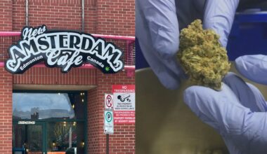 Edmonton business wants the province and city to move forward with cannabis cafes