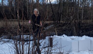 This northern Sask. community lost its trees to a fire. Volunteers replanted more than 30,000