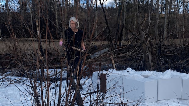 This northern Sask. community lost its trees to a fire. Volunteers replanted more than 30,000